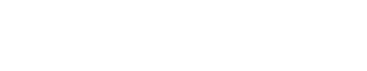 Leisure Economics